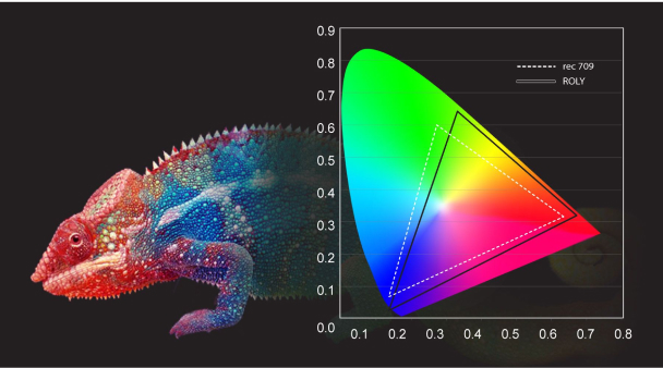 Технология ROLY Chameleon Color Richness